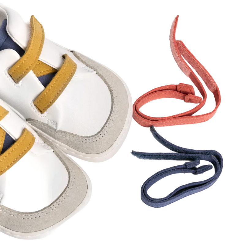 Terrenova Mini Multi - Muris