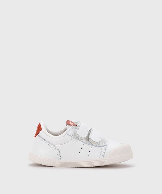 Tenis Teja - Igor Shoes