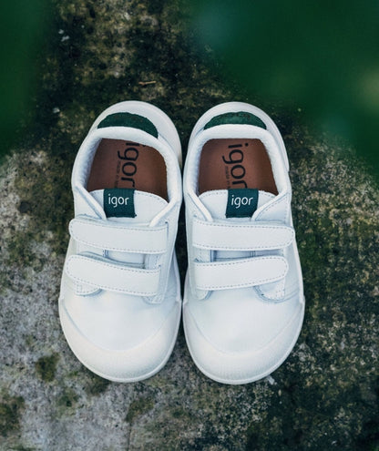 Tenis Musgo - Igor Shoes